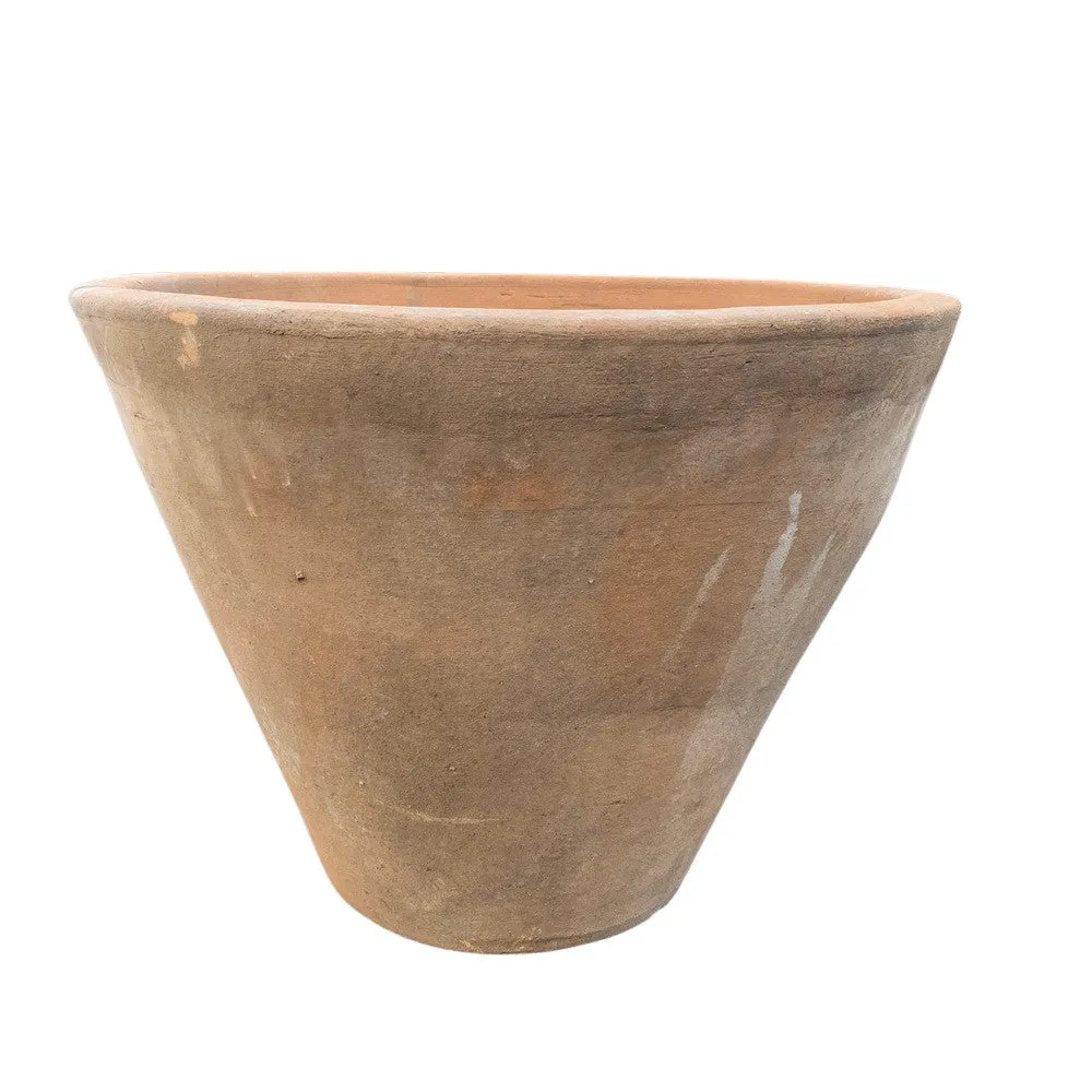 Cono Lizo
