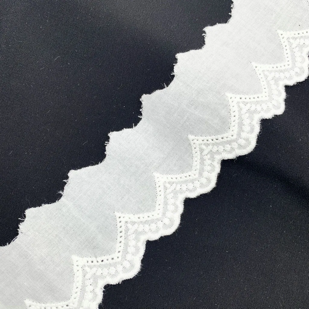 Embroidery lace with cotton fabric NFA22A286