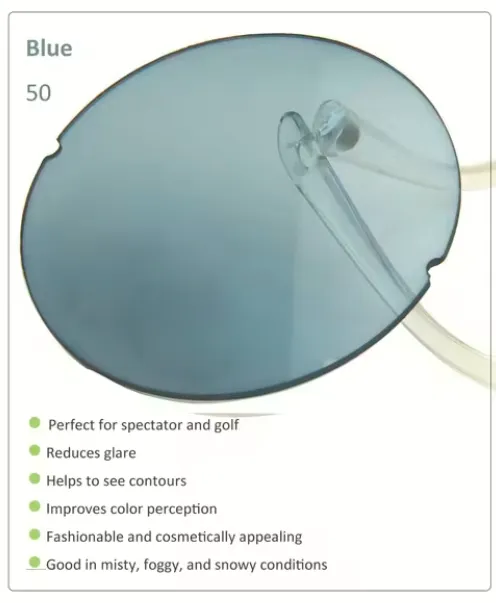 Esnbie 1.61 Index Non Polarized Tinted Lenses