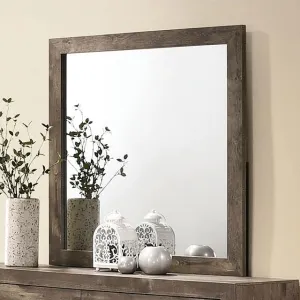 Furniture of America Larissa Dresser Mirror CM7149M
