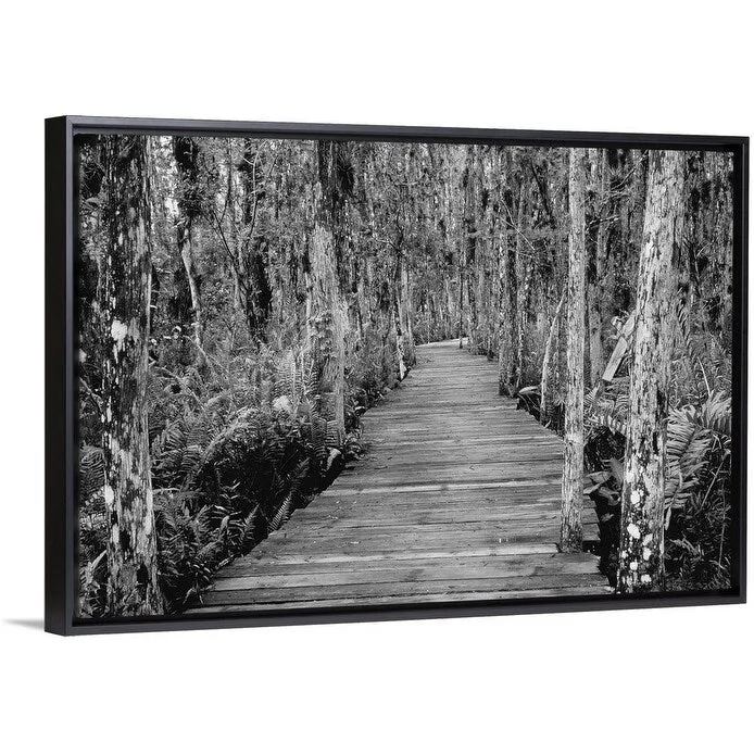 "Boardwalk Through Everglades Florida, USA" Black Float Frame Canvas Art