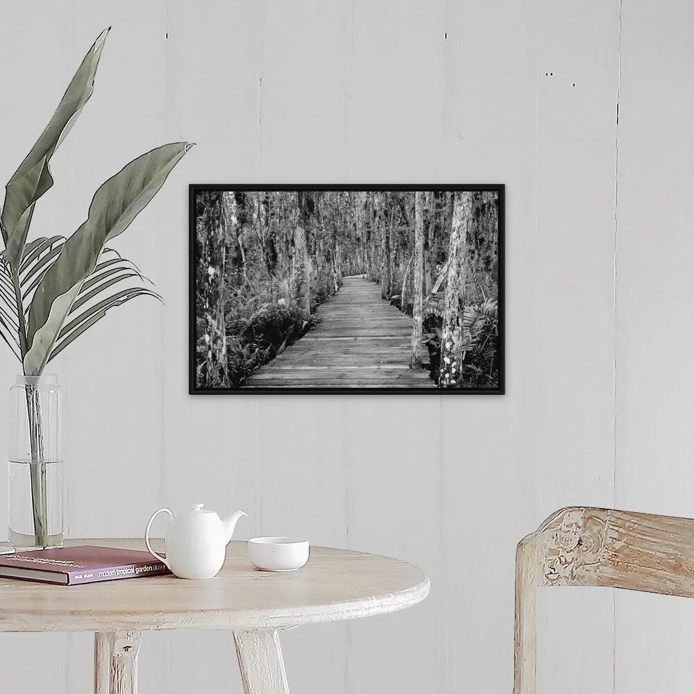 "Boardwalk Through Everglades Florida, USA" Black Float Frame Canvas Art